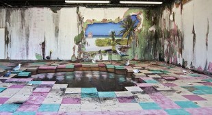 Artful Decomposition – installations by Valerie Hegarty
