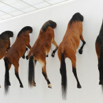 Maurizio Cattelan’s 5 horses at Fondation Beyeler